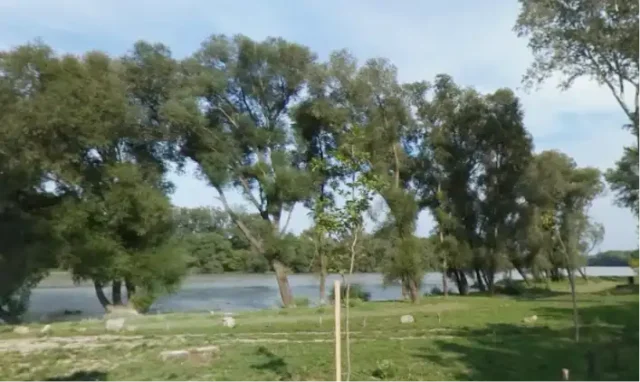 piknikező gyerek közelében tartottak szórásos temetést, kiakadt a dunabogdányi polgármester 250 piknikező gyerek közelében tartottak szórásos temetést, kiakadt a dunabogdányi polgármester 2026