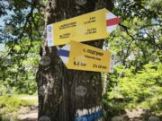 Kaufland и БТС обновиха туристически маршрут в Софийска планина 2026 Kaufland и БТС обновиха туристически маршрут в Софийска планина 2026