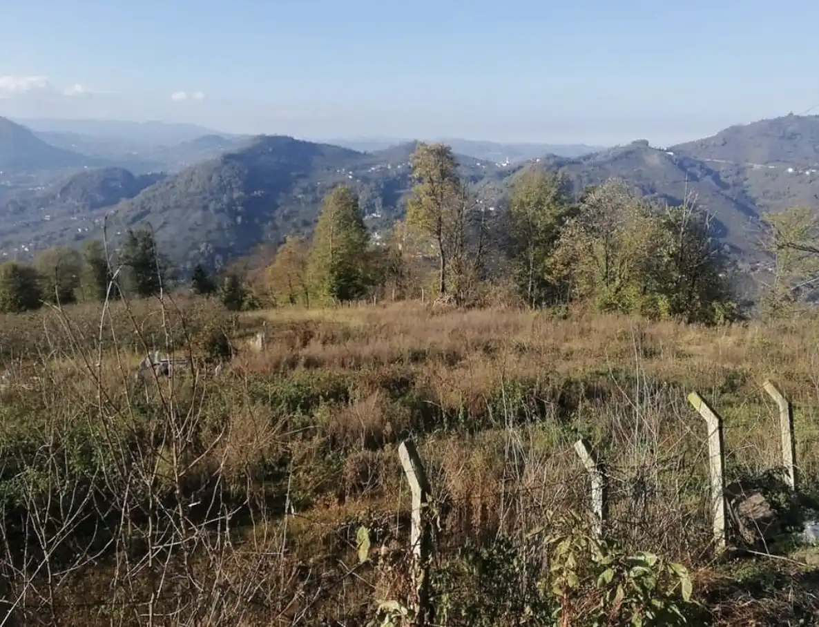 Trabzon trabzon muhacirliğinin unutulmayan izleri... 2026 trabzon muhacirli inin unutulmayan izleri 2026 trabzon iustitia. Bg 1916-1918 yılları arasında rus ordularının trabzon’u işgali sırasında karadeniz’in birçok şehrinde büyük... Iustitia. Bg trabzon muhacirliğinin unutulmayan izleri... 2026 2026-05-31 21:30:00 adalet - iustitia. Bg trabzon