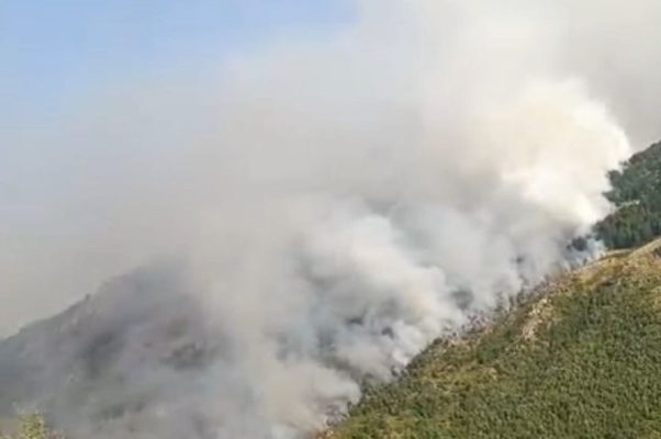 Aktivizohen 3 vatra zjarri në shkopet, zjarrfikësit drejt vendngjarjes 2026