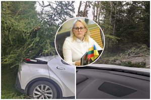 Audra nesirenka: skaudžiai kliuvo ir seimo valstietės l. Girskienės automobiliui 2026 - teisingumas - iustitia. Bg Audra nesirenka: skaudžiai kliuvo ir seimo valstietės l. Girskienės automobiliui 2026 audra nesirenka skaud iai kliuvo seimo valstiet girskie iustitia. Bg šeštadienį šalyje praūžusi audra kirto ir politikams. Seimo narė, lietuvos valstiečių ir žaliųjų sąjungos (lvžs) atstovė ligita girskienė pasidalijo, kad medis užvirto ir ant... Audra nesirenka: skaudžiai kliuvo ir seimo valstietės l. Girskienės automobiliui 2026 2026-08-22 18:35:00 teisingumas - iustitia. Bg