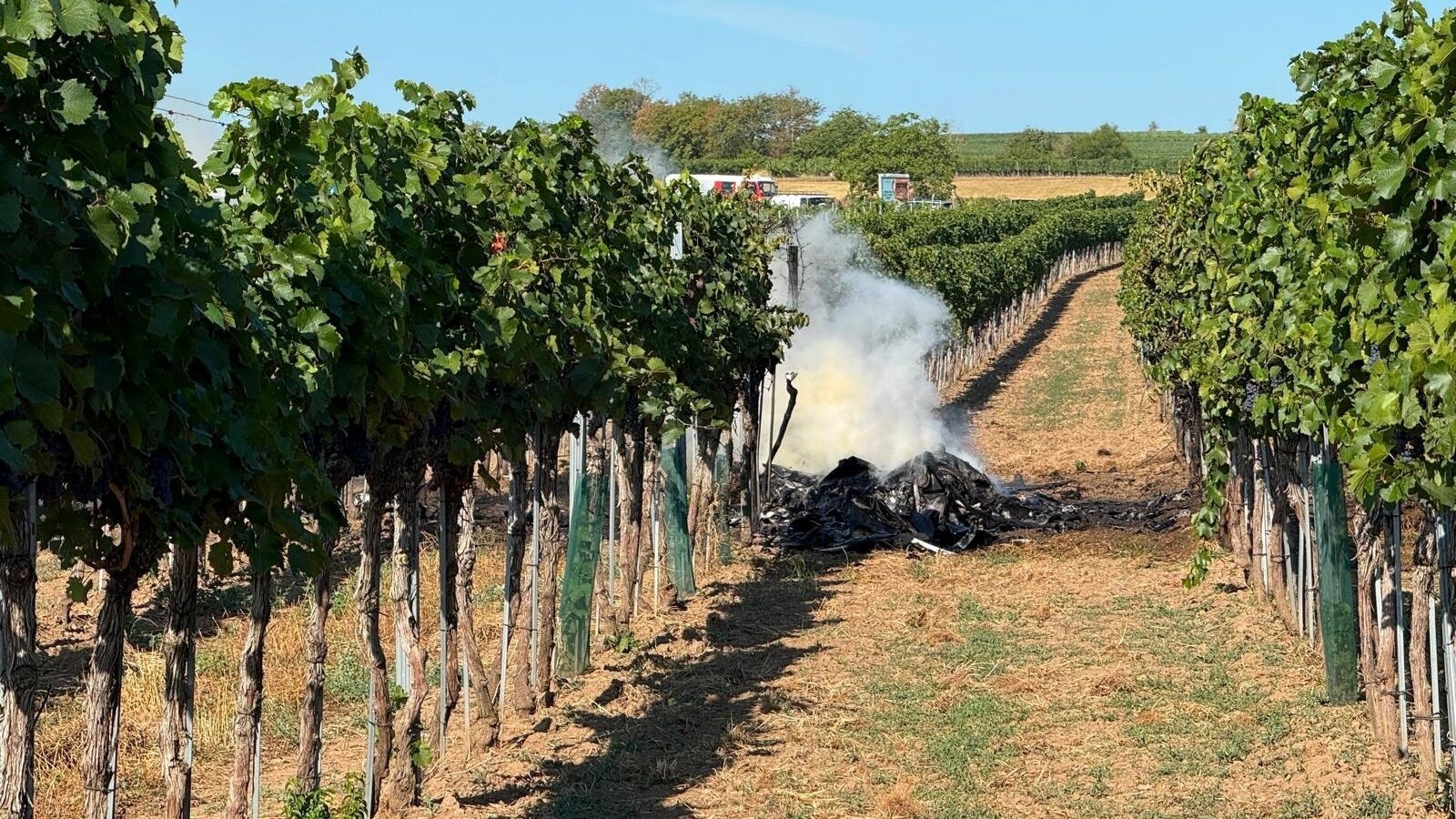 Fataler unfall in nö - zwei piloten nach kollision in der luft tot 2026