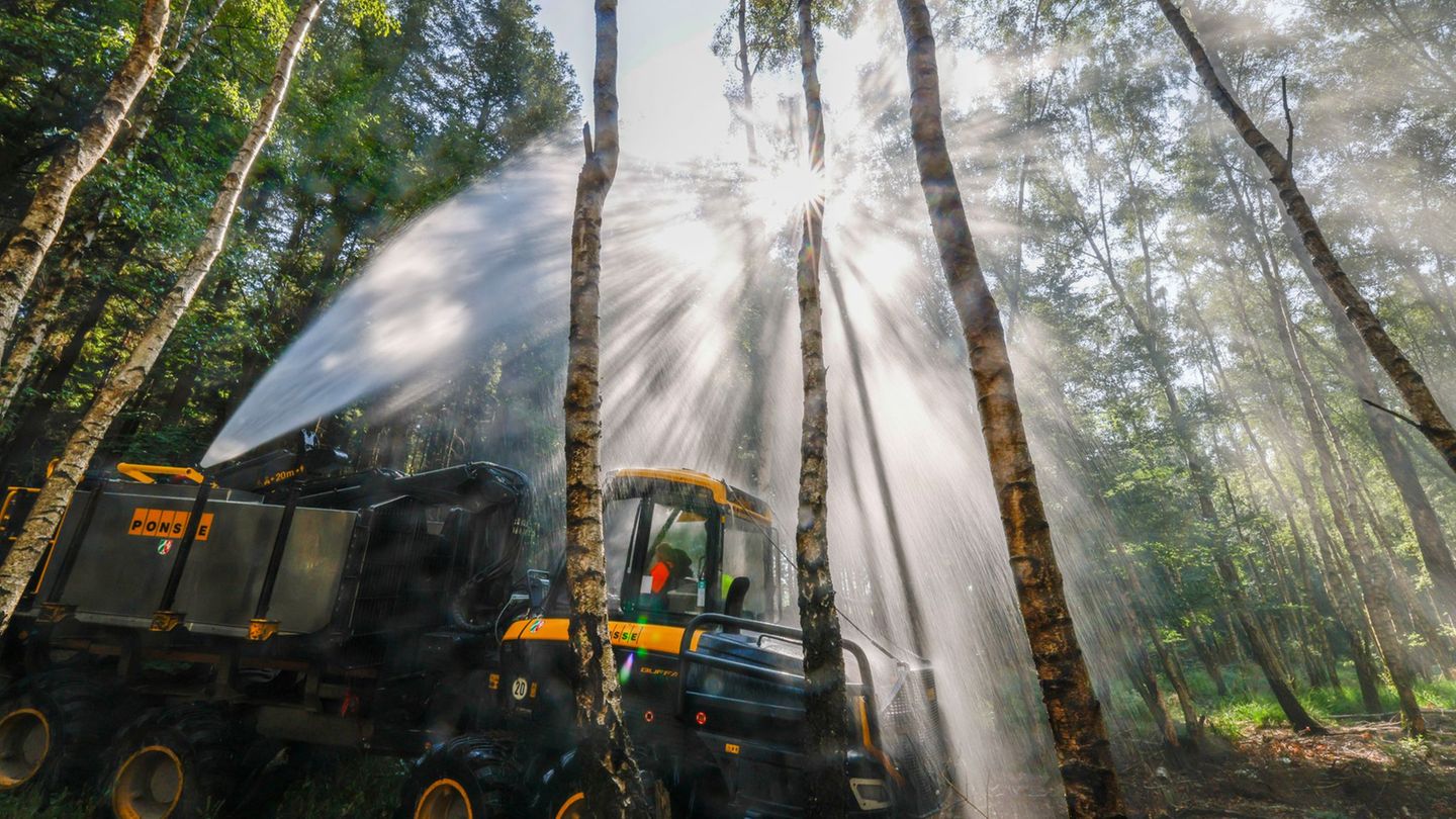 Großer brand im hürtgenwald: spezialfahrzeuge bei waldbränden in nrw im einsatz 2026