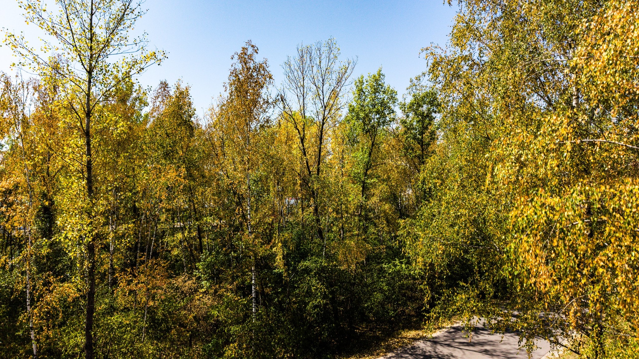 Herbst muss warten - 30 grad! Sommer denkt noch lange nicht ans gehen 2026