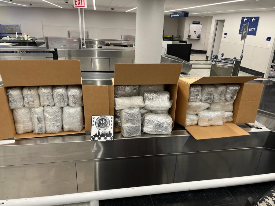 Large quantities of khat are being intercepted at us airports. What is it? 2026 - justice - iustitia. Bg Border report large quantities of khat are being intercepted at us airports. What is it? 2026 large quantities khat are being intercepted airports wh border report khat is listed as schedule i drug in the united states. Where is it coming from? Large quantities of khat are being... Iustitia. Bg large quantities of khat are being intercepted at us airports. What is it? 2026 2026-08-30 00:03:24 justice - iustitia. Bg border report