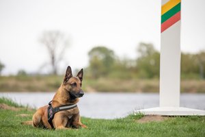 Lietuvos kinologai latvijoje padėjo sulaikyti 11 neteisėtų migrantų 2026