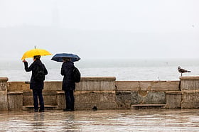 Onze distritos do continente sob aviso amarelo devido à chuva e trovoada 2026