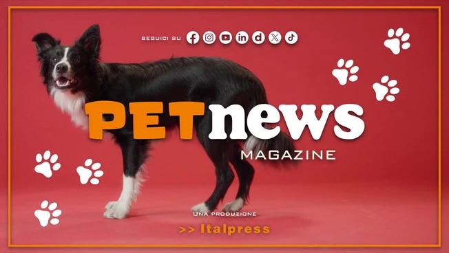 PetNews Magazine - 31/8/2026 2026