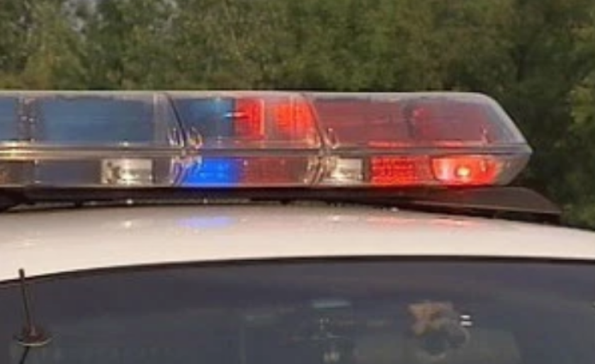 Police are asking anyone with information about the thefts to contact area three detectives.