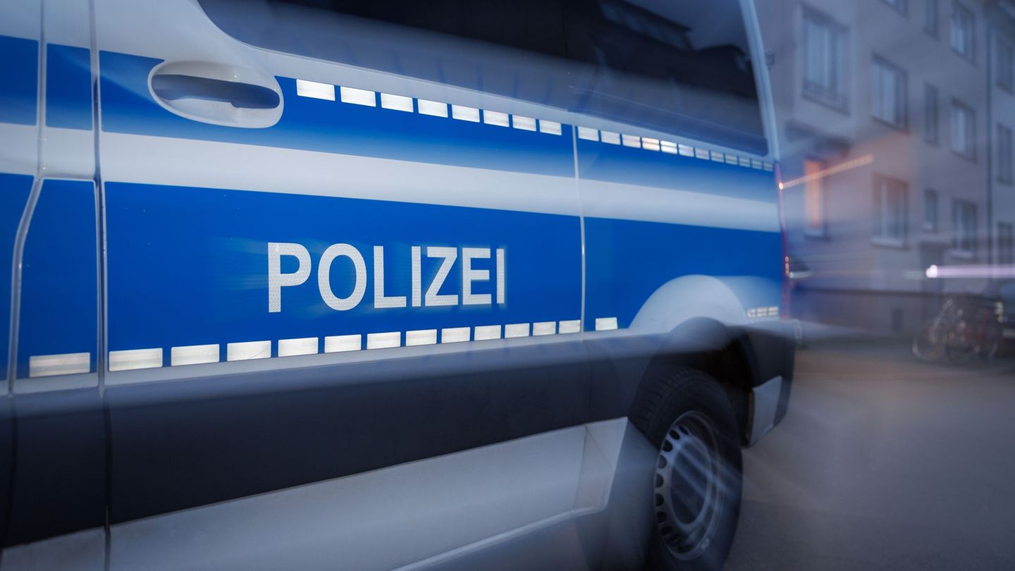 Spürhunde finden datenträger: kampf gegen kinderpornografie: 36 gebäude durchsucht 2026