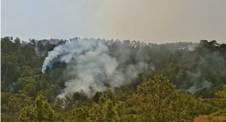 Përkeqësohet zjarri në shkopet, rrezikohen të digjen 250 krerë lopë, kërkohet ndihmë për evakuimin e barinjve 2026 - юстиция Përkeqësohet zjarri në shkopet, rrezikohen të digjen 250 krerë lopë, kërkohet ndihmë për evakuimin e barinjve 2026 rkeq sohet zjarri shkopet rrezikohen digjen 250 krer lo është përkeqësuar situata e zjarrit në shkopet. Flakët kanë përparuar me shpejtësi, ndërsa situata më kritike... Iustitia. Bg përkeqësohet zjarri në shkopet, rrezikohen të digjen 250 krerë lopë, kërkohet ndihmë për evakuimin e barinjve 2026 2026-08-31 08:41:44 юстиция