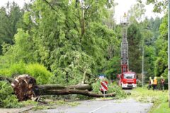 Schwere unwetter in rheinland-pfalz – schäden und verletzte 2026