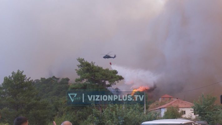 Një shkëndijë me kosto të larta, duhen miliarda lekë për dëmin mjedisor, sistemimin e tokës dhe për fidanët e rinj 2026