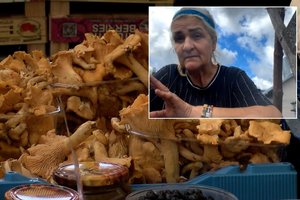 „miško siaubu“ vadinama ramunė kitiems nepalieka šansų: „jau po manęs tai gali neit nė vienas žmogus“ 2026
