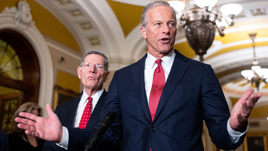 Thune-aligned groups unleash historic war chest to defend Senate majority: 'Winning message' 2026
