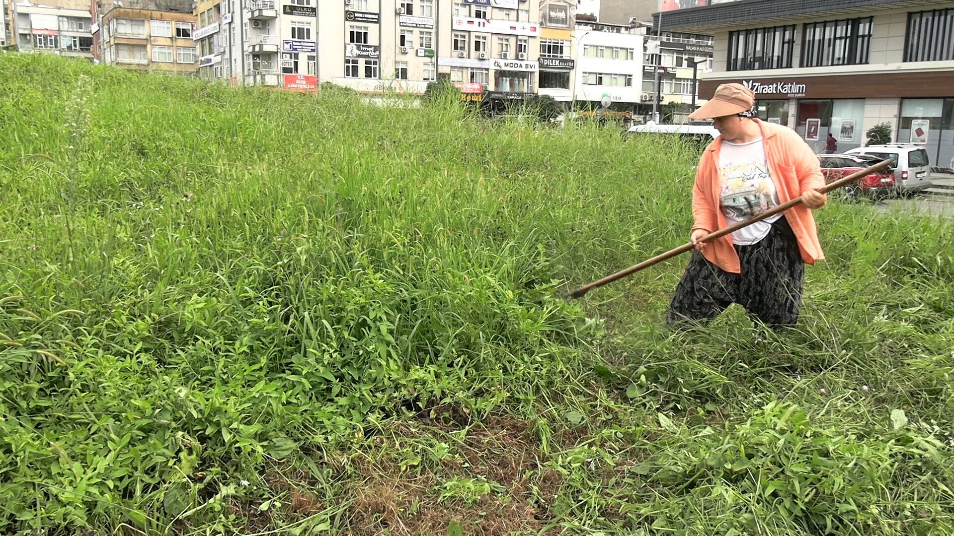 Trabzon’dan Rize’ye uzanan geçim mücadelesi 2026