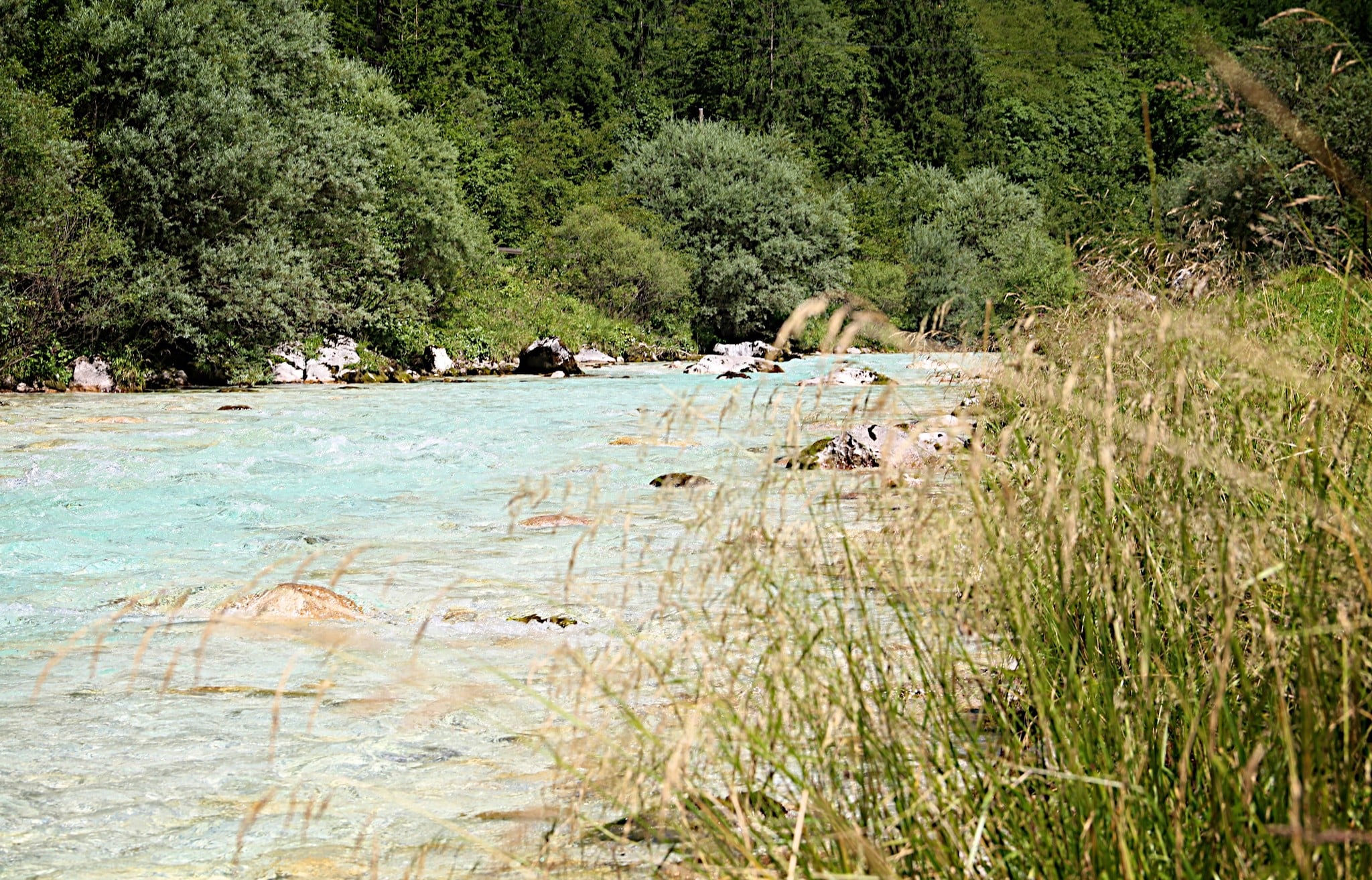 Trieb leblos im fluss - badetragödie: steirer stirbt nach sprung in soca 2026