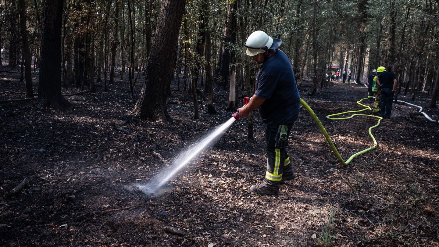 Waldbrände: waldbrand im hürtgenwald: lage hat sich weiter entspannt 2026