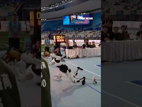 WATCH: Robot crashes into judges' table during humanoid weightlifting final #shorts #foxnews #news 2026