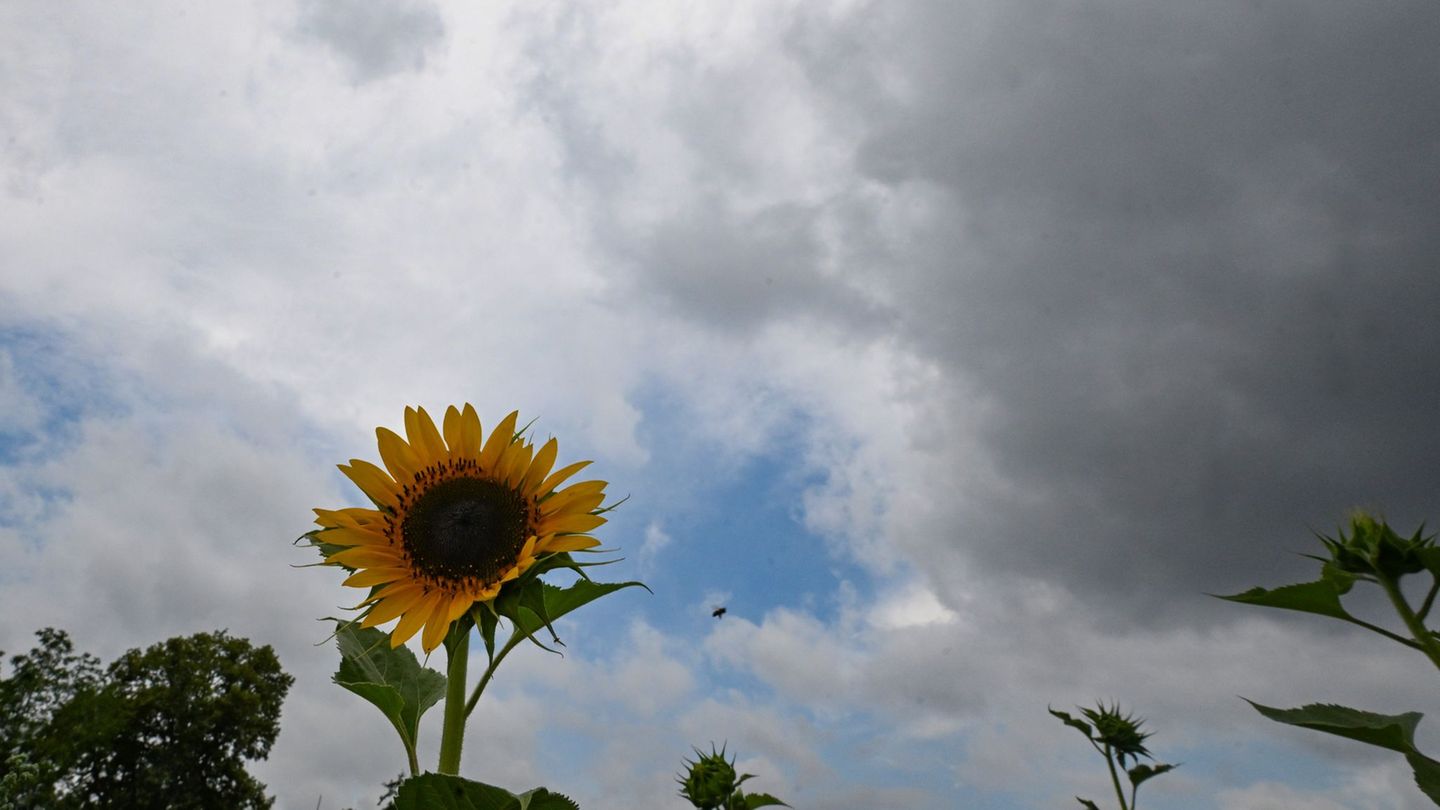 Wetter: regen im südwesten erwartet - wird es jetzt endlich kühler? 2026