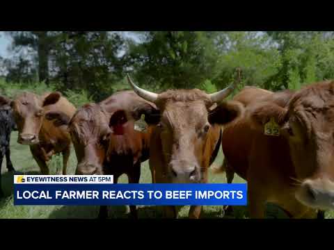 NC cattle farmer getting unexpected boost from beef tariffs pause 2026