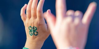 Nächste absage beim glücksgefühle-festival: beauty & the beats zieht sich zurück 2026