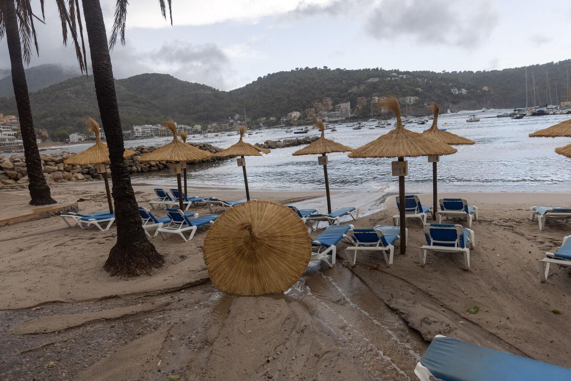Frau ertrinkt bei unwetter auf mallorca 2026 frau ertrinkt bei unwetter auf mallorca 2026 1 verfasst von:dpa eine frau ist bei heftigen unwettern auf mallorca ums leben gekommen. Die ältere person... Iustitia. Bg frau ertrinkt bei unwetter auf mallorca 2026 2026-09-09 19:49:00 iustitia. Bg - gerechtigkeit