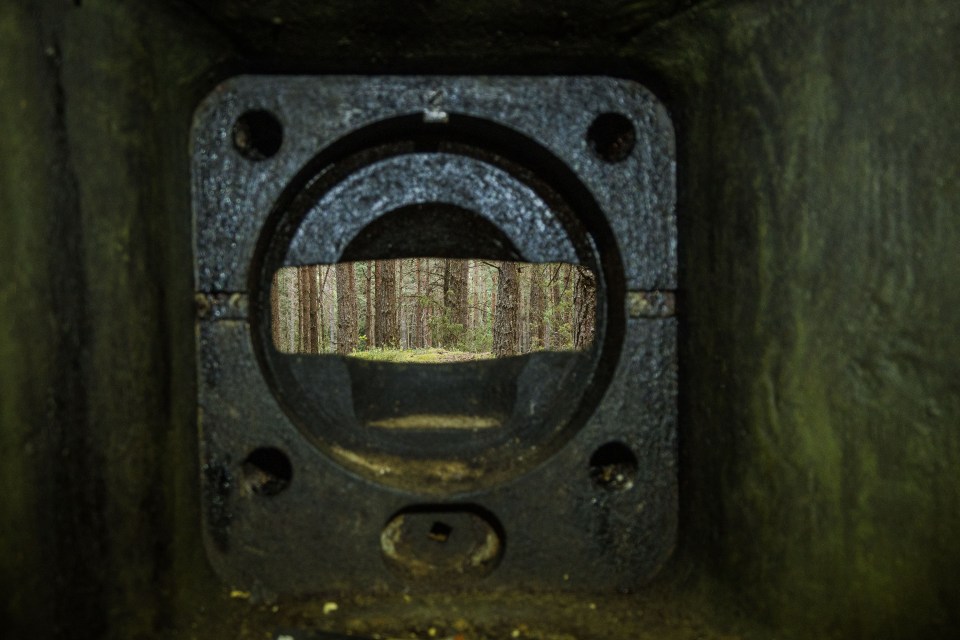Dzūkijos miškai, matomi pro gynybinio bunkerio angą. ©Kotryna Juškaitė