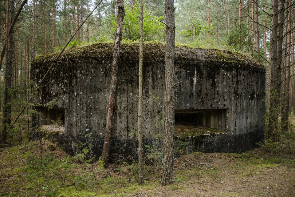 Antrojo pasaulinio karo bunkeris Kapčiamiesčio miškuose. ©Kotryna Juškaitė