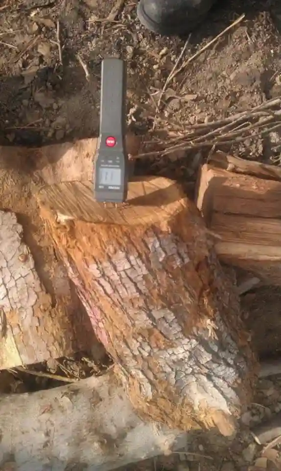 Premium oak firewood kiln dried Premium kiln dried oak firewood stacked outdoor pallet crates ready for delivery clean dry hardwood logs high heat output premium oak firewood