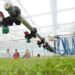Kina shpall një plan veprimi pesëvjeçar për zhvillimin e fshatrave digjitalë 2026 - юстиция Kina shpall një plan veprimi pesëvjeçar për zhvillimin e fshatrave digjitalë 2026