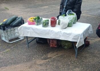 Lietus išgąsdino pardavėjus ir pirkėjus 2026
