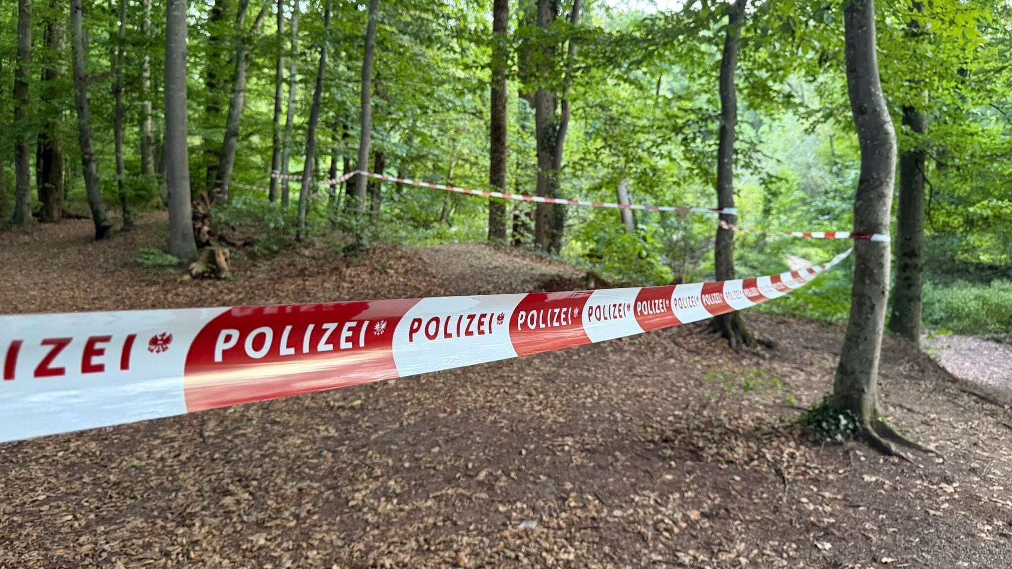 Mordalarm! - spielende kinder fanden an flussufer frauenleiche 2026