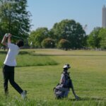Number of trees chopped down at East Potomac Golf Course increased significantly 2026