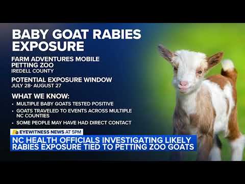 Rabies alert issued after infected goats visit Durham County events 2026