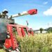 米価暴落し生産者の経営直撃 国は主食の安定供給に責任持て 農家守る所得補償が急務 2026