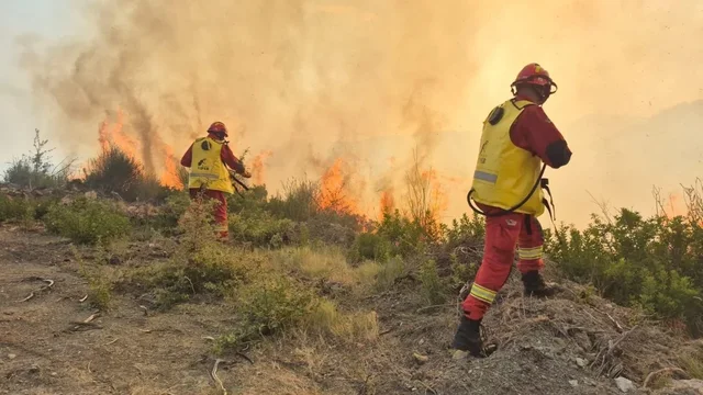 Situata me zjarret, 4 vatra aktive! Flakët përfshijnë dajtin, bulqizën dhe matin, angazhohen 183 forca dhe 2 helikopterë 2026
