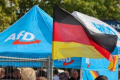 Umfrage: afd in sachsen-anhalt weiter klar vorn 2026