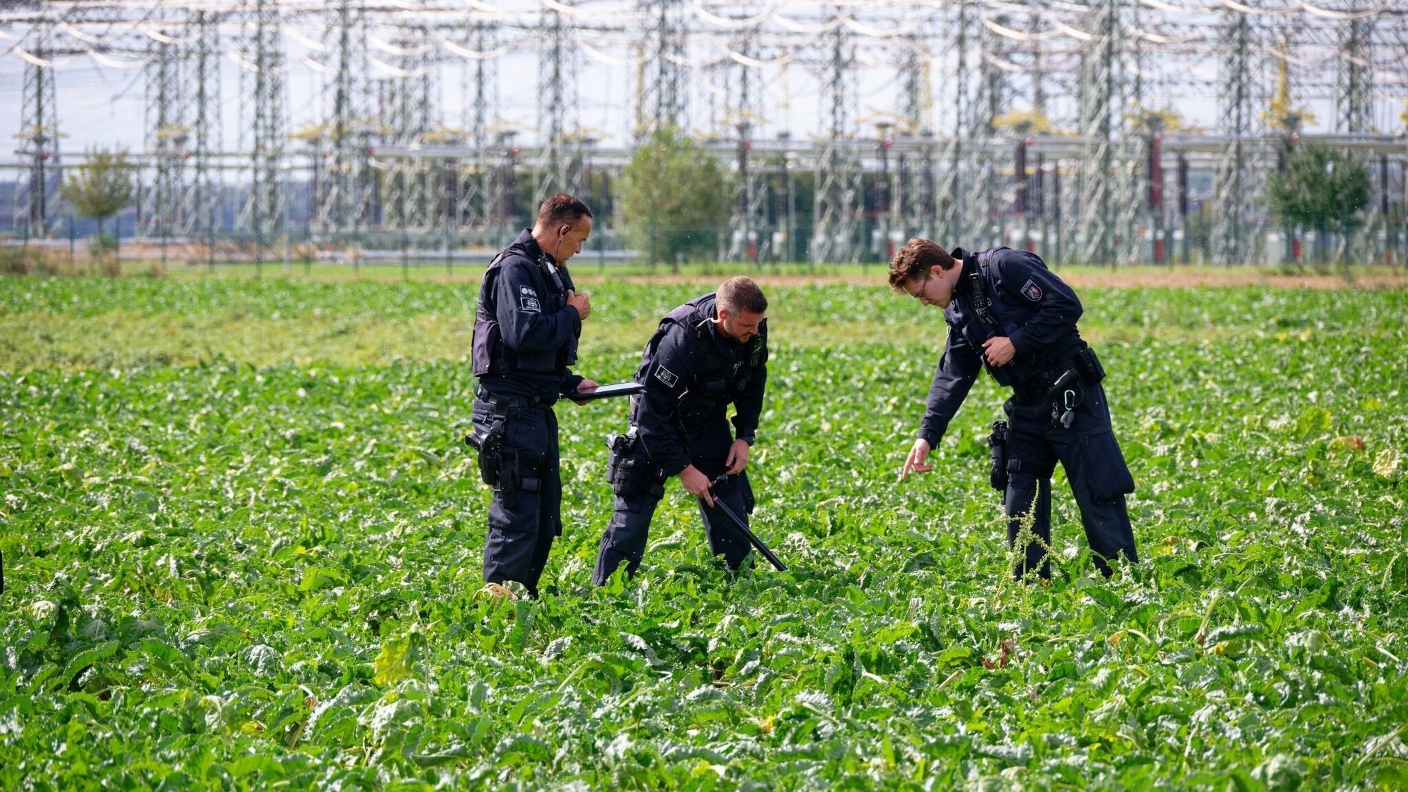 Umspannwerke sabotiert - deutsche polizei jagt bekennerbrief-unterzeichner 2026