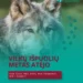 Atėjo vilkų išpuolių metas – kiek šunų prie būdų bus pasmerkti mirti šiemet? 2026 - teisingumas - iustitia. Bg Atėjo vilkų išpuolių metas – kiek šunų prie būdų bus pasmerkti mirti šiemet? 2026