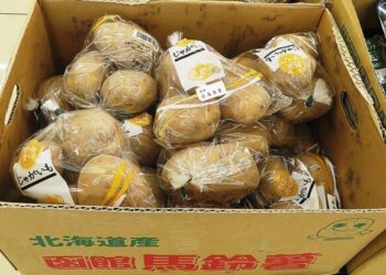 米国産生ジャガイモの輸入解禁やめよ　生産者と消費者が緊急行動　害虫侵入と価格崩壊で「国内生産は壊滅する」 2026