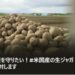 オンライン署名17万人到達　米国産ジャガイモ輸入反対　北海道では50議会が意見書「国内農業の基盤揺るがす」 2026