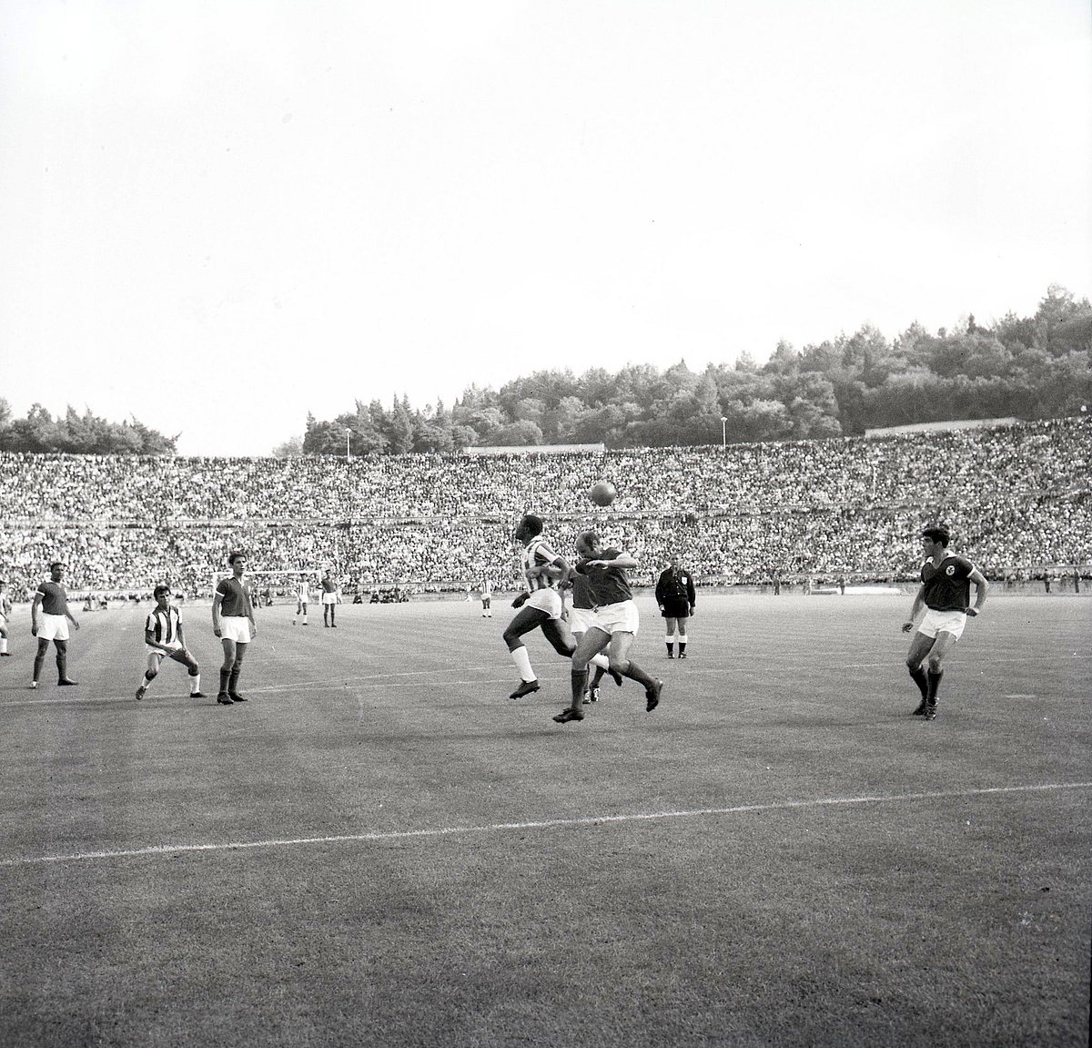 Vitória de setúbal 1965. Uma página de ouro na rica história do vitória de setúbal 2026 1965 uma gina ouro rica hist ria vit ria set bal 2026 1 vitória de setúbal 1965 será sempre um ano gravado a letras de ouro na história do vitória de setúbal, já que foi aquele em que... Iustitia. Bg 1965. Uma página de ouro na rica história do vitória de setúbal 2026 2026-10-24 08:30:06 justiça - iustitia. Bg vitória de setúbal