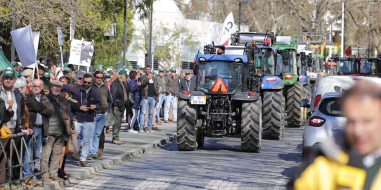 Agricultores concentram-se hoje no parlamento para exigir medidas de apoio 2026