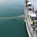 Акула более месяца провела в канале в центре пусана: её удалось вернуть в море 2026