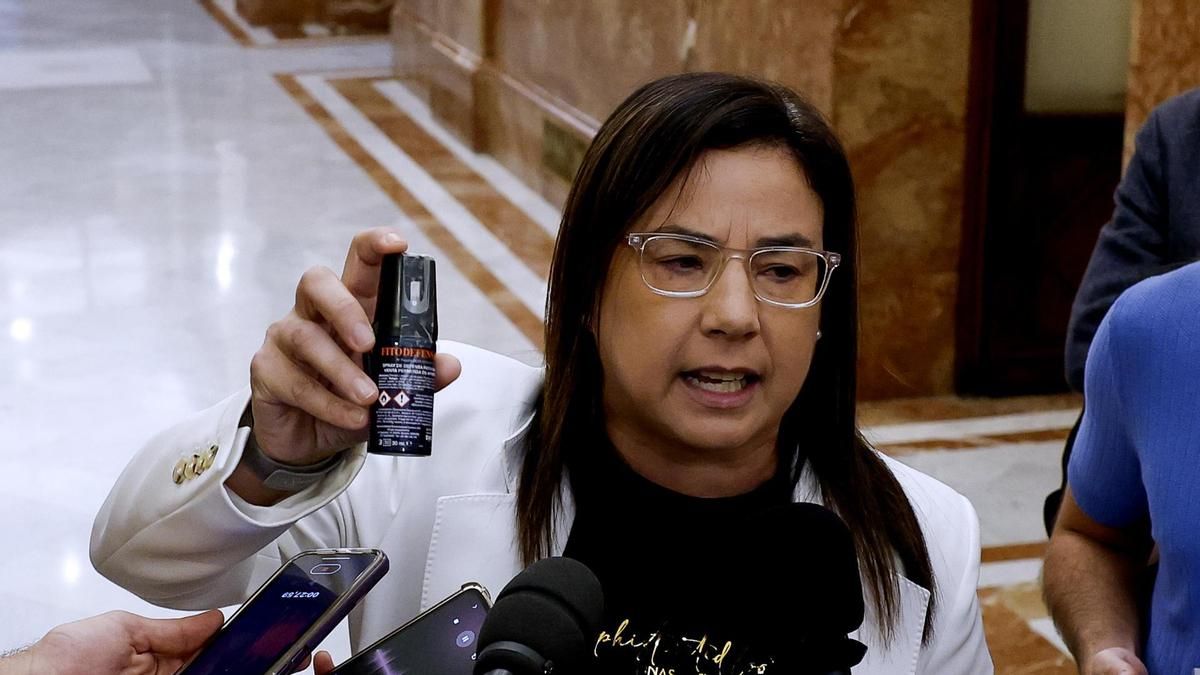 Ana vázquez (pp) se libra de la sanción por llevar un spray de pimienta al congreso por la convocatoria electoral 2026 - justicia - iustitia. Bg Ana vázquez (pp) se libra de la sanción por llevar un spray de pimienta al congreso por la convocatoria electoral