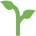 🌱