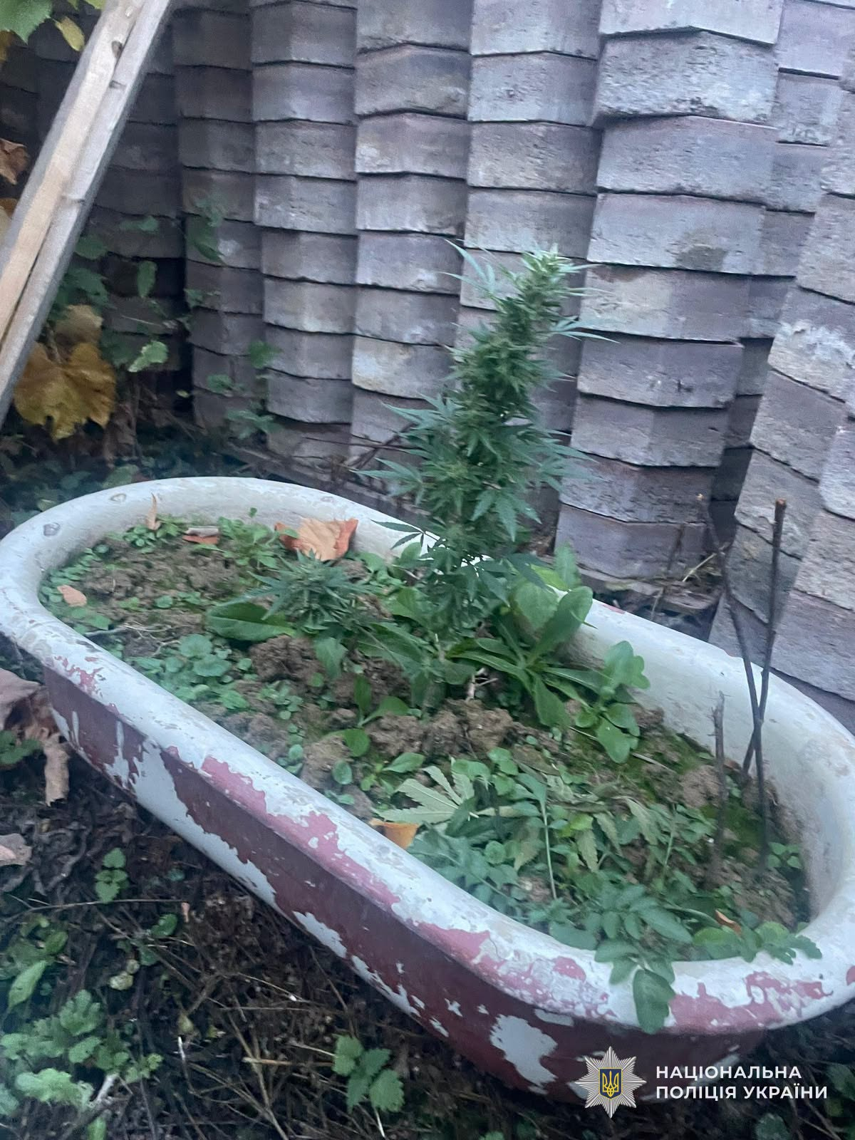 Архімандрита затримали за підозрою в організації незаконного перетину кордону на закарпатті 2026 - справедливість - юстиция Затримали за підозрою архімандрита затримали за підозрою в організації незаконного перетину кордону на закарпатті 2026 arhimandrita zatrimali pidozroyu organizatsiyi nezakonn 2 затримали за підозрою на закарпатті правоохоронці затримали священнослужителя, який організував незаконний перетин кордону. Джерело:... Iustitia. Bg архімандрита затримали за підозрою в організації незаконного перетину кордону на закарпатті 2026 2026-10-23 11:22:00 справедливість - юстиция затримали за підозрою