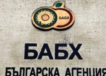 Бабх спря над 204 тона вносни храни, пълни с пестициди и афлатоксини 2026