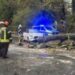 Baum stürzt vor auto auf kreuzung in schwerte: iserlohner straße teilweise gesperrt 2026